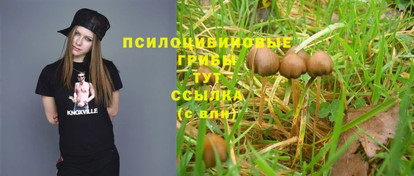 ешки Кинешма