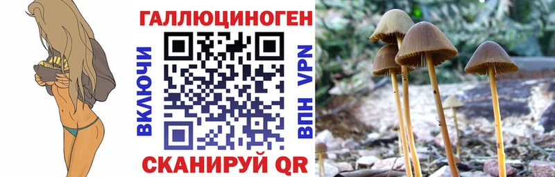 Псилоцибиновые грибы MAGIC MUSHROOMS  Энгельс 