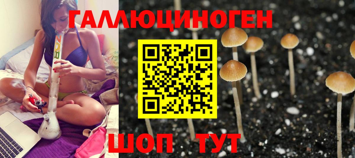 Галлюциногенные грибы Psilocybine cubensis  Вход с VPN  Энгельс 