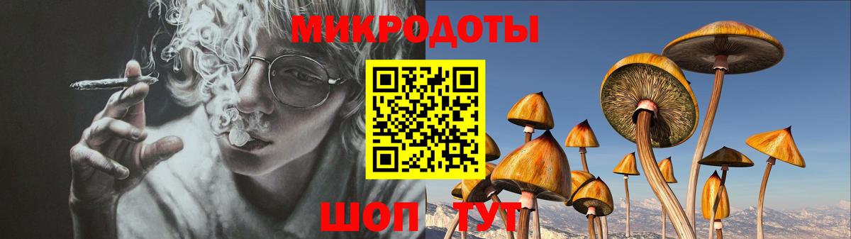Галлюциногенные грибы Psilocybe Энгельс